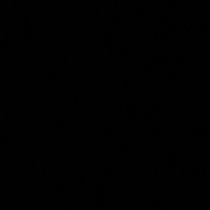 Meet your Posher, Bernadette